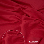 Raudonas RIB